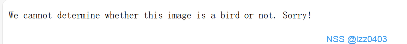 NSSIMAGE